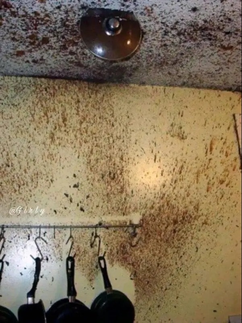 22 fracasos épicos en la cocina, o Cómo no engordar de la comida casera 22 fracasos épicos en la cocina, o Cómo no engordar de la comida casera