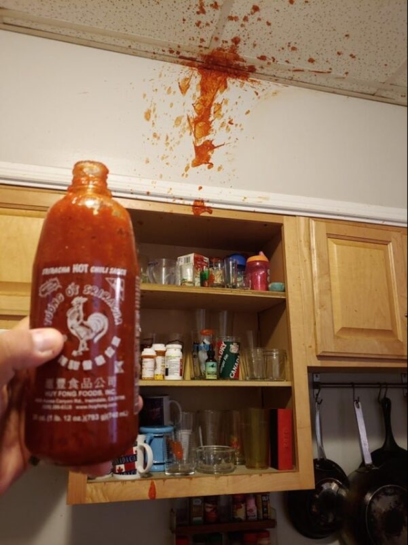 22 fracasos épicos en la cocina, o Cómo no engordar de la comida casera 22 fracasos épicos en la cocina, o Cómo no engordar de la comida casera