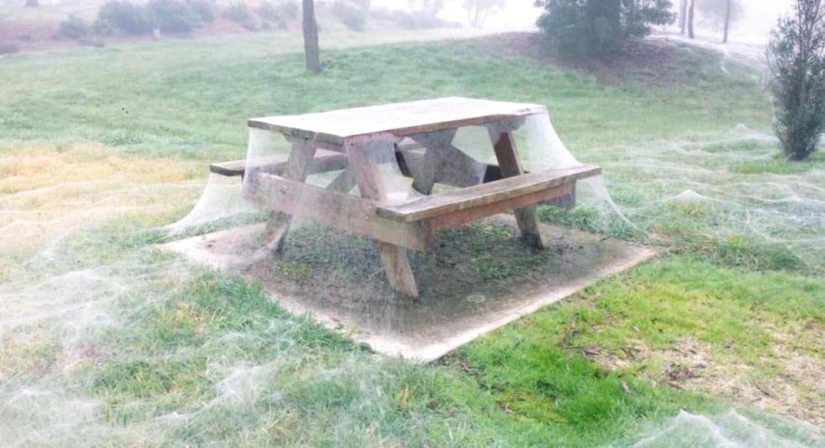 22 frightening photos that give you goosebumps 22 frightening photos that give you goosebumps