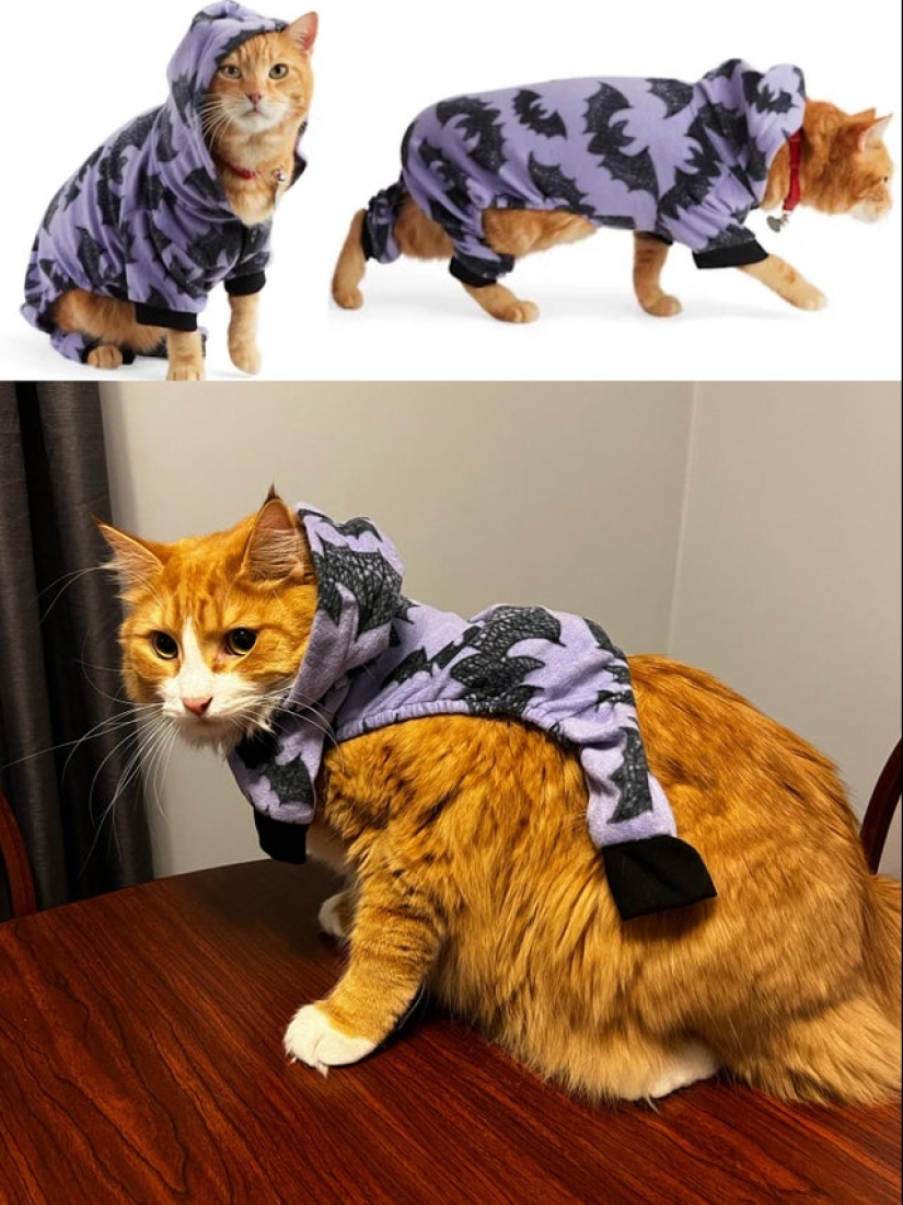 22 funny and at the same time sad photos from the series "Expectation and Reality"