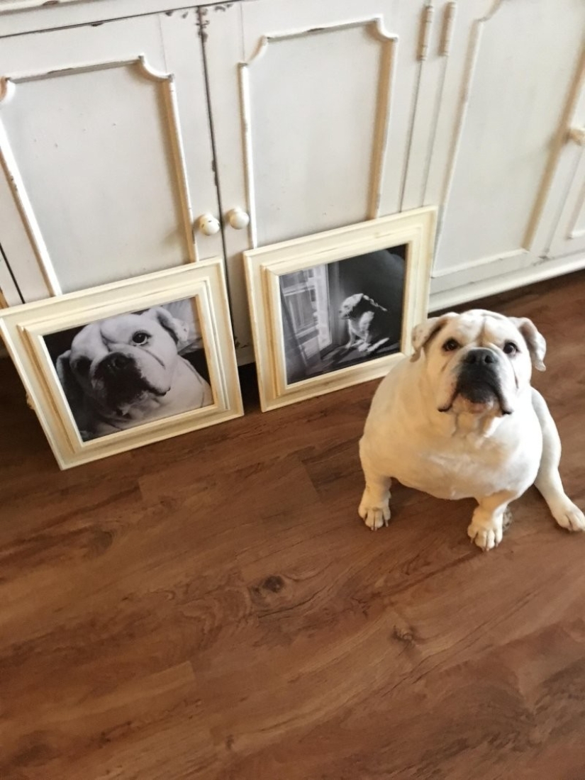 22 funny little things and decor that made the owners of the house laugh and delight 22 funny little things and decor that made the owners of the house laugh and delight