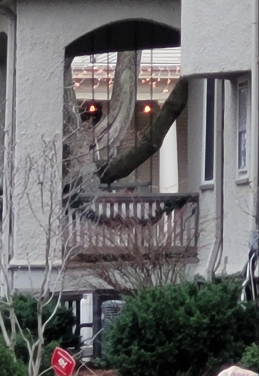 22 funny optical illusions from everyday life 22 funny optical illusions from everyday life