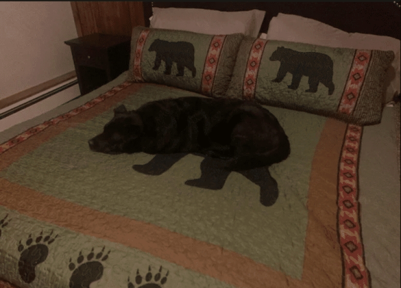 22 funny photos from the "it seemed" series that are worth looking at twice