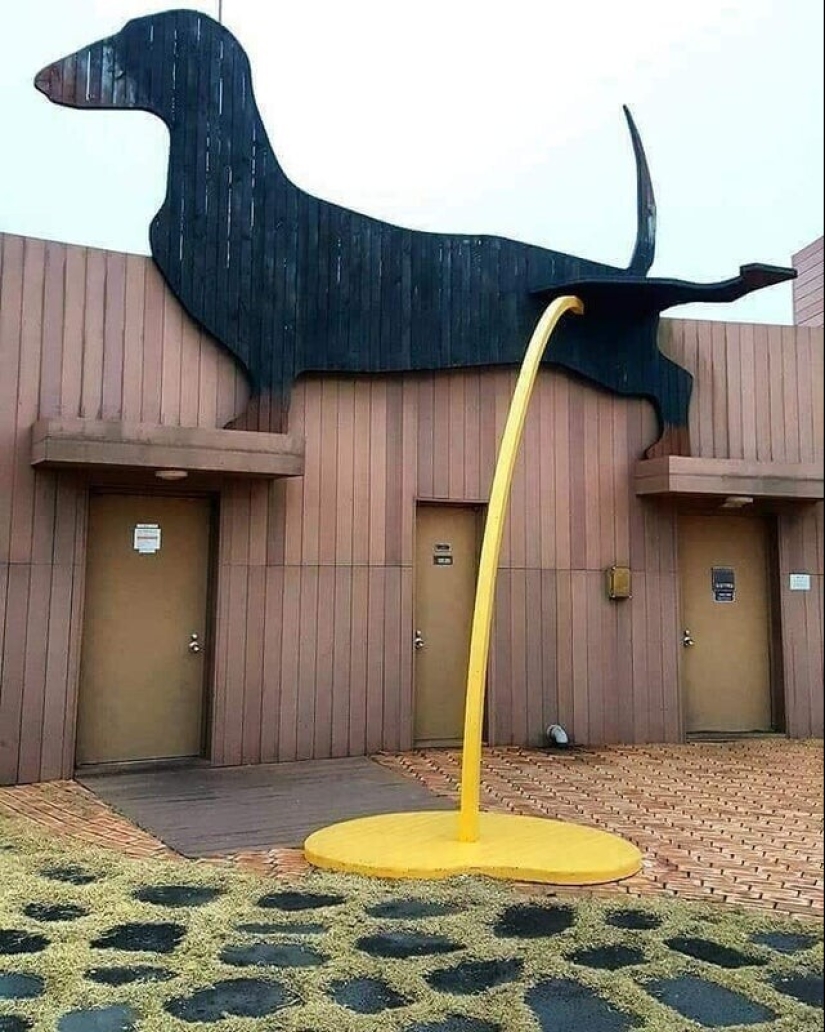 22 funny photos from people whose imagination knows no bounds 22 funny photos from people whose imagination knows no bounds