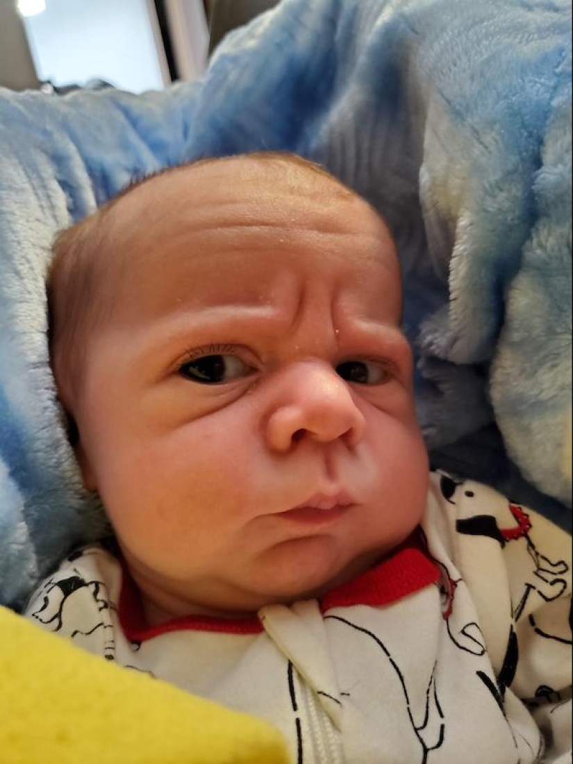 22 funny photos of babies with strikingly adult faces 22 funny photos of babies with strikingly adult faces