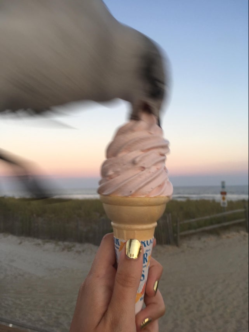 22 funny photos taken at the right moment