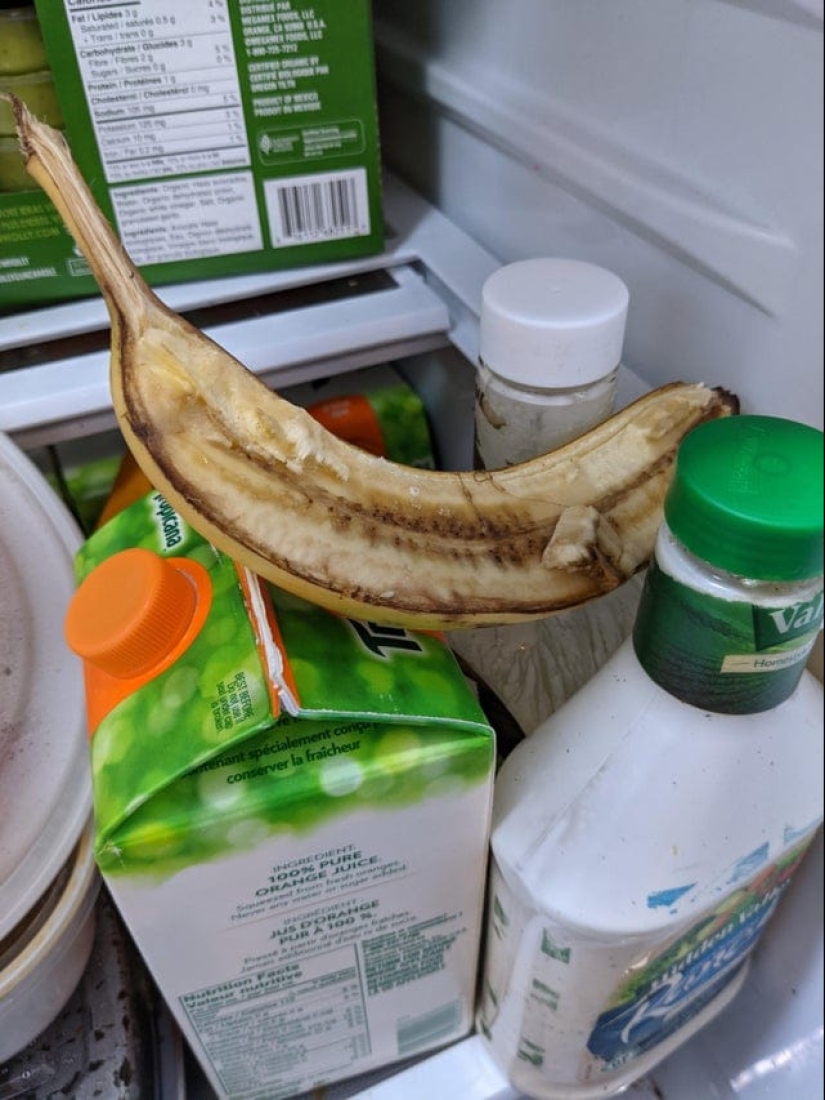 22 funny photos that demonstrate the original children's logic in all its glory