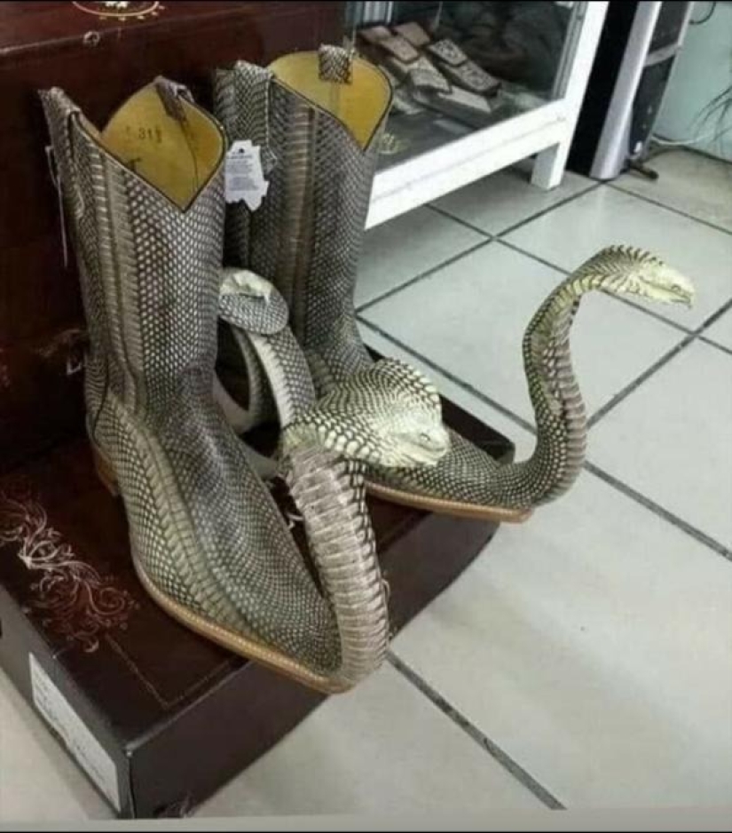 22 ideas extrañas y salvajes que recibieron ejecución de alta calidad