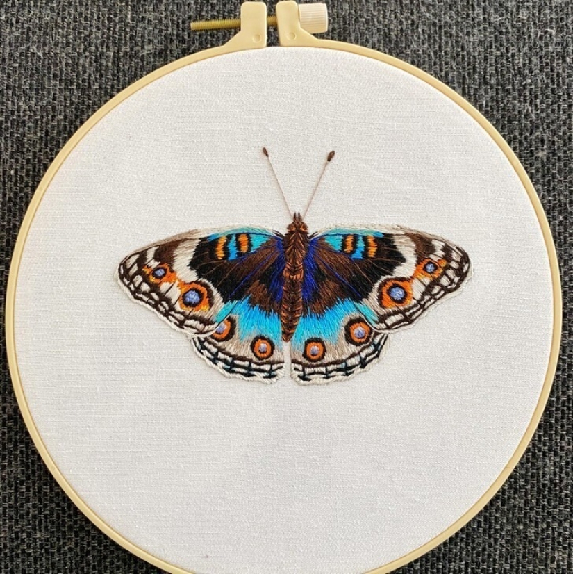 22 imágenes interesantes para los amantes de la ciencia y la creatividad 22 imágenes interesantes para los amantes de la ciencia y la creatividad