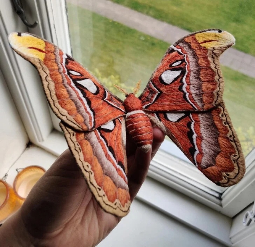 22 imágenes interesantes para los amantes de la ciencia y la creatividad 22 imágenes interesantes para los amantes de la ciencia y la creatividad