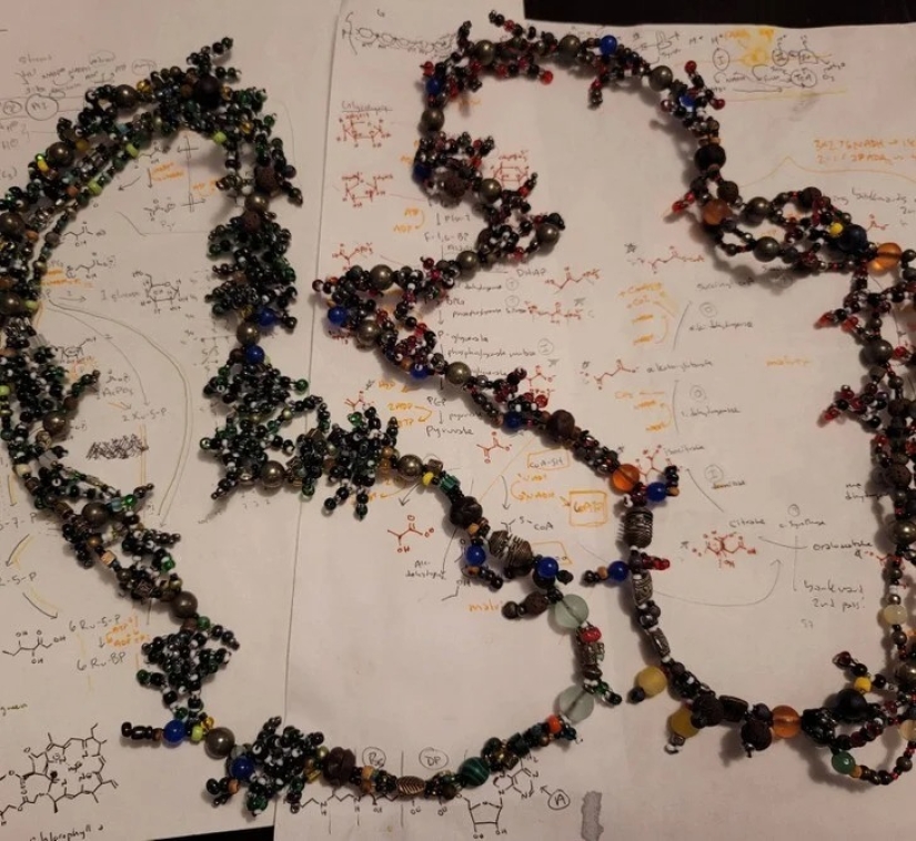 22 imágenes interesantes para los amantes de la ciencia y la creatividad 22 imágenes interesantes para los amantes de la ciencia y la creatividad