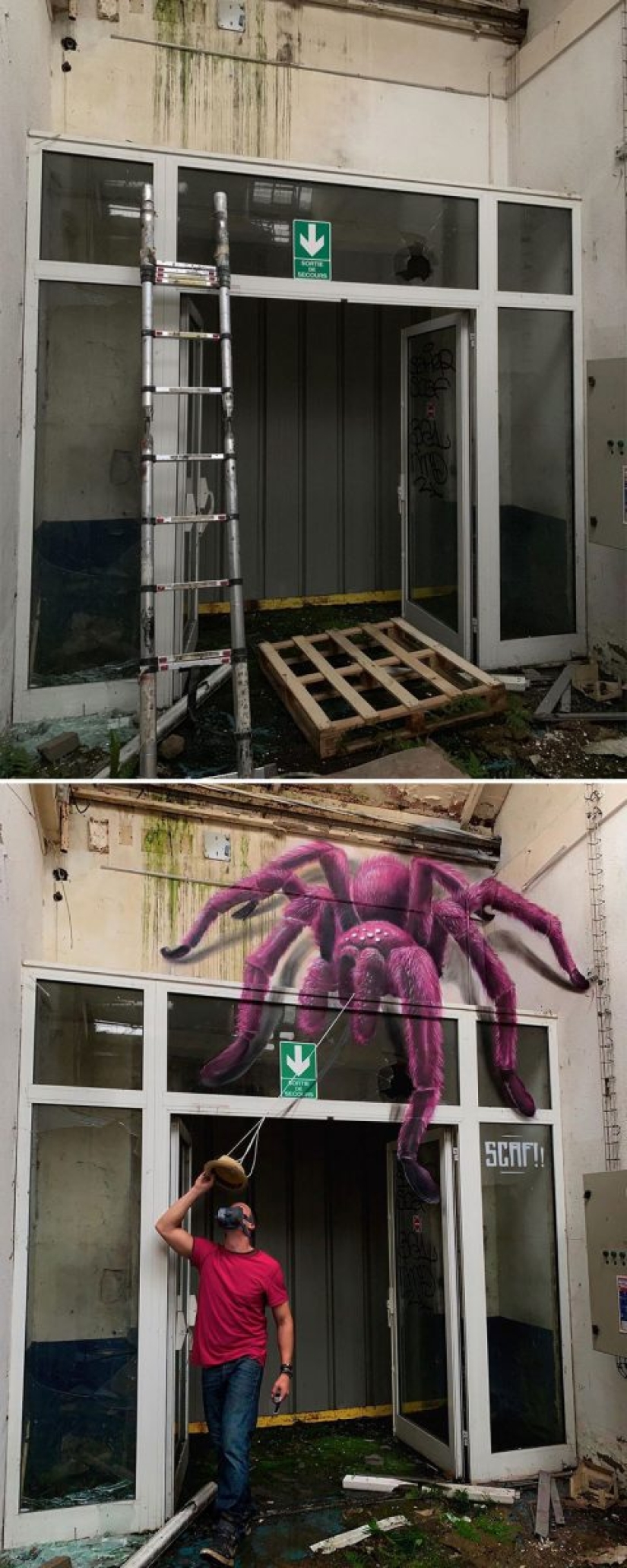 22 impressive SCAF graffiti that seem to jump out of the walls 22 impressive SCAF graffiti that seem to jump out of the walls