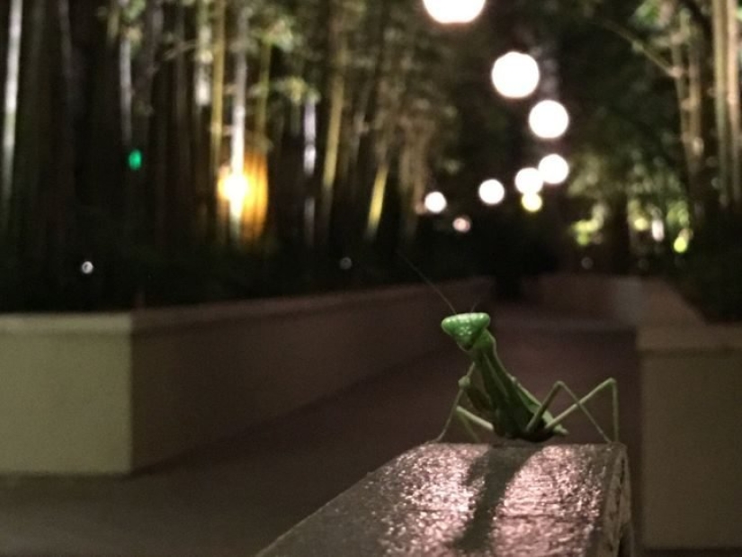 22 increíbles sorpresas que las casas antiguas presentaron a sus residentes