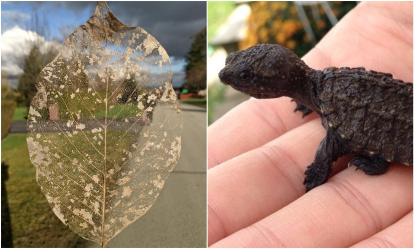 22 incredible finds that people couldn't help but share online 22 incredible finds that people couldn't help but share online