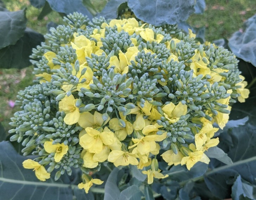 22 incredible finds that people couldn't help but share online 22 incredible finds that people couldn't help but share online