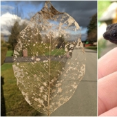 22 incredible finds that people couldn't help but share online