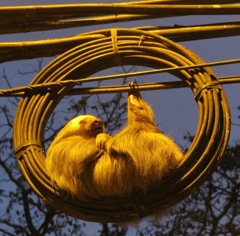 22 incredible finds that people couldn't help but share online 22 incredible finds that people couldn't help but share online