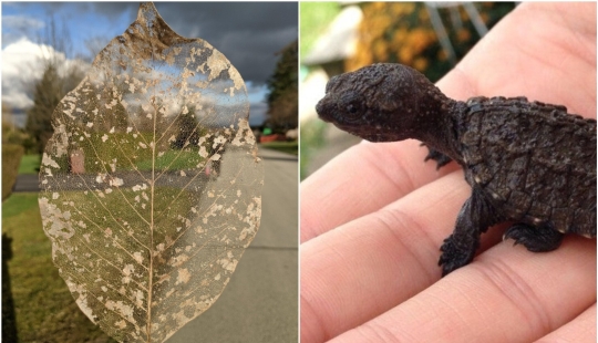 22 incredible finds that people couldn't help but share online