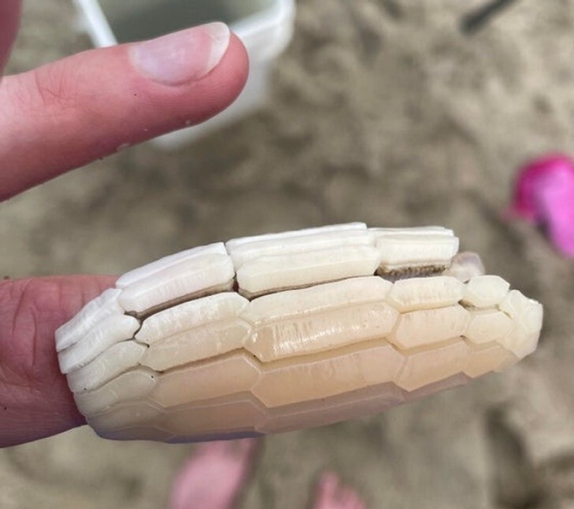 22 incredible finds that people couldn't help but share online 22 incredible finds that people couldn't help but share online