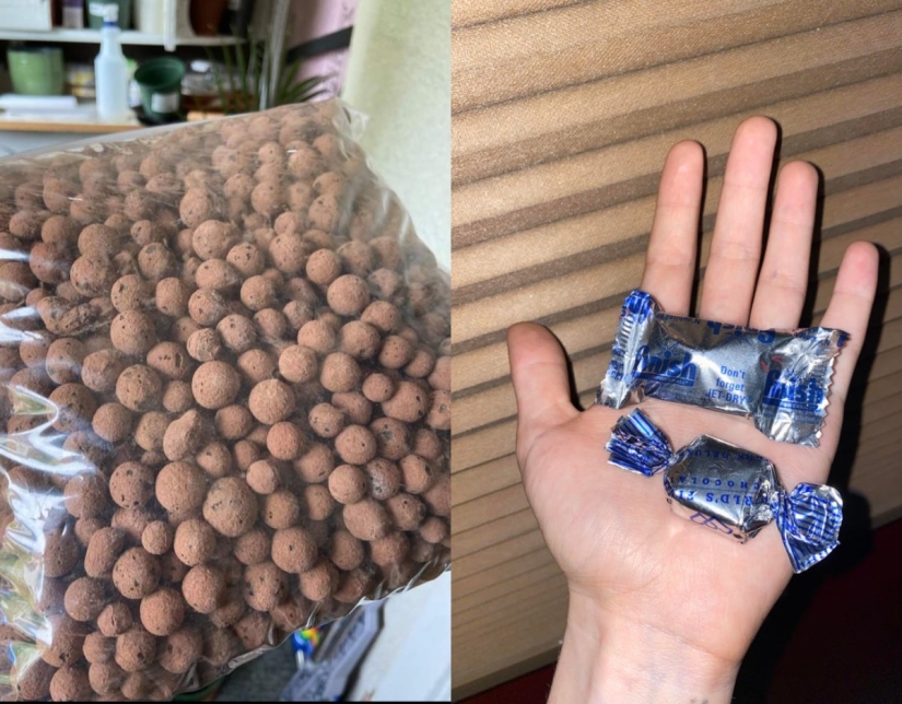 22 inedible items that you just want to eat 22 inedible items that you just want to eat