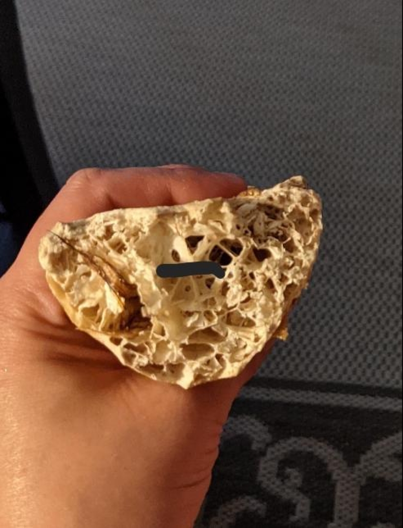 22 inedible items that you just want to eat 22 inedible items that you just want to eat