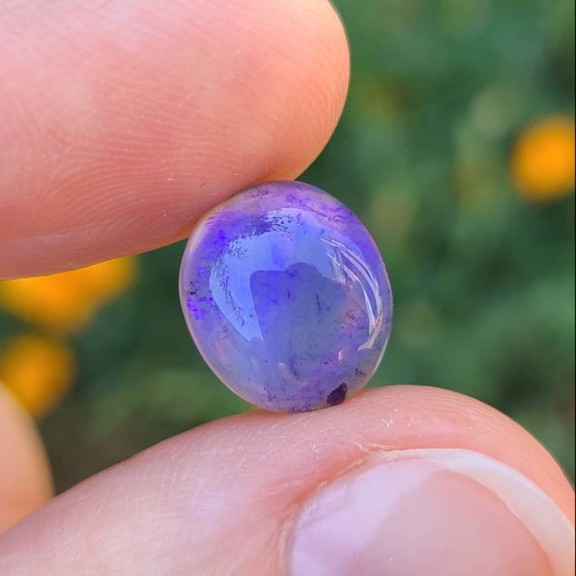 22 inedible items that you just want to eat 22 inedible items that you just want to eat