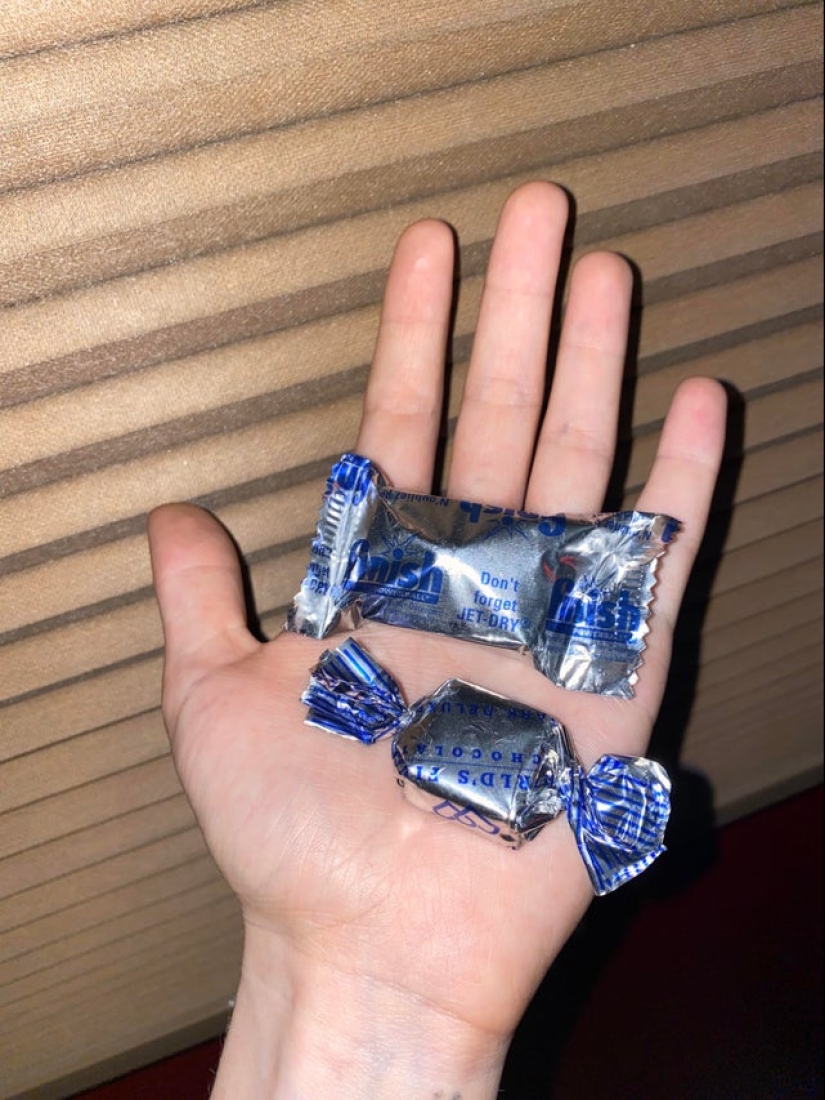 22 inedible items that you just want to eat 22 inedible items that you just want to eat