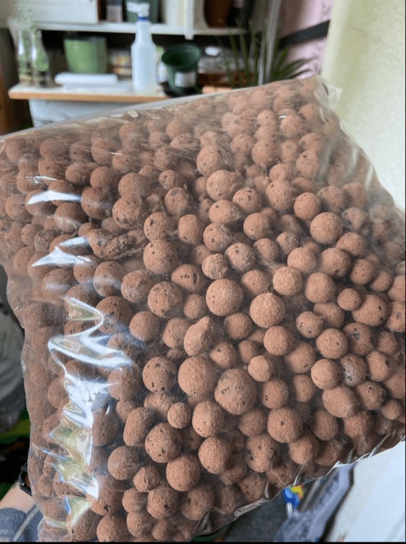 22 inedible items that you just want to eat 22 inedible items that you just want to eat