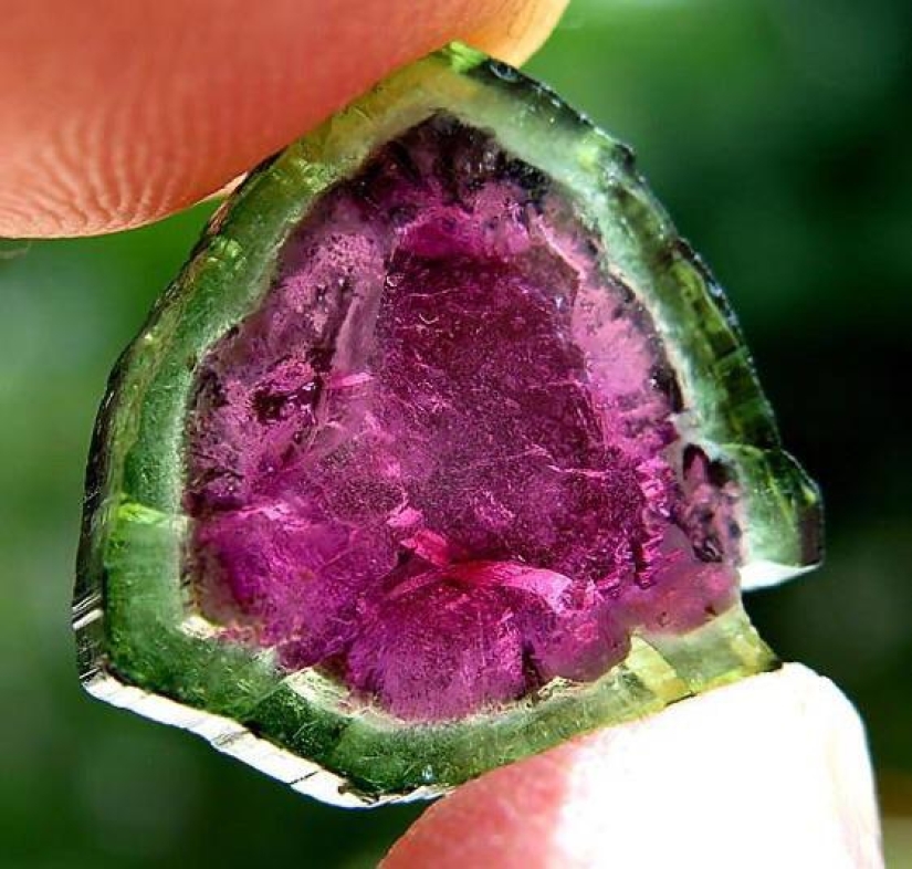 22 inedible items that you just want to eat 22 inedible items that you just want to eat