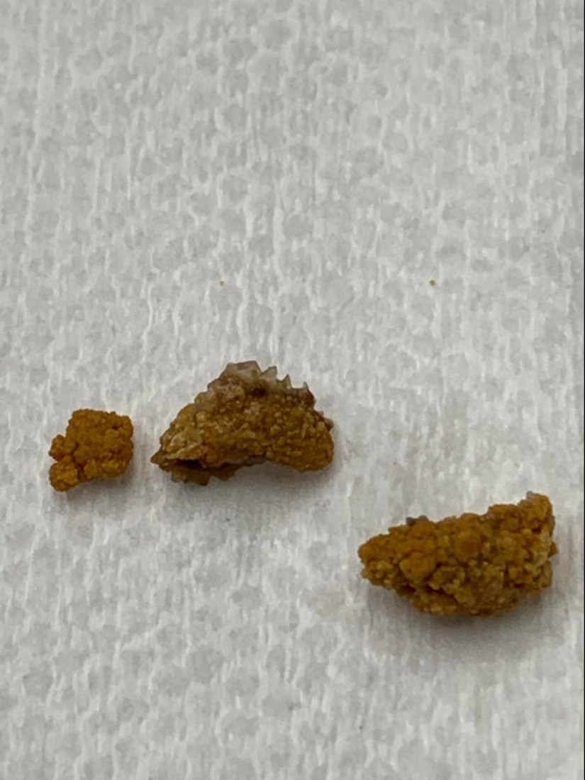 22 inedible items that you just want to eat 22 inedible items that you just want to eat