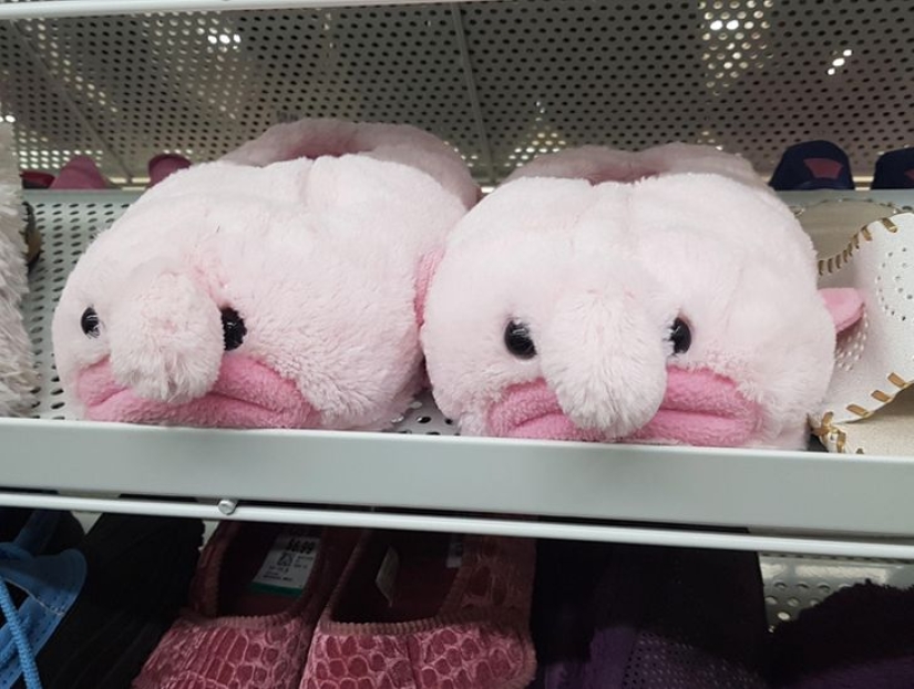 22 interesting and strange products from stores in different countries