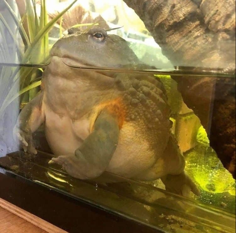 22 irrefutable proofs that size matters 22 irrefutable proofs that size matters