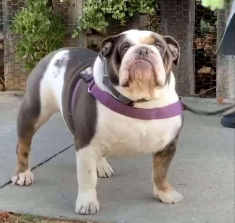 22 irrefutable proofs that size matters 22 irrefutable proofs that size matters