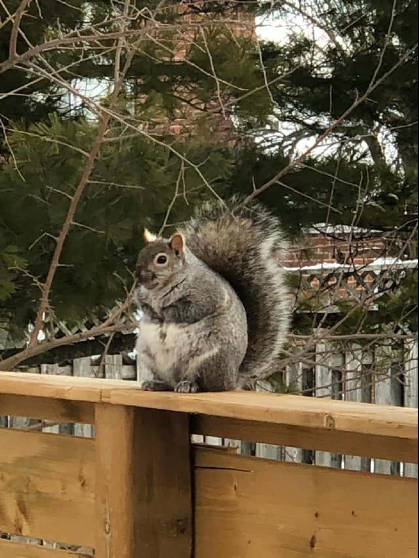 22 irrefutable proofs that size matters 22 irrefutable proofs that size matters