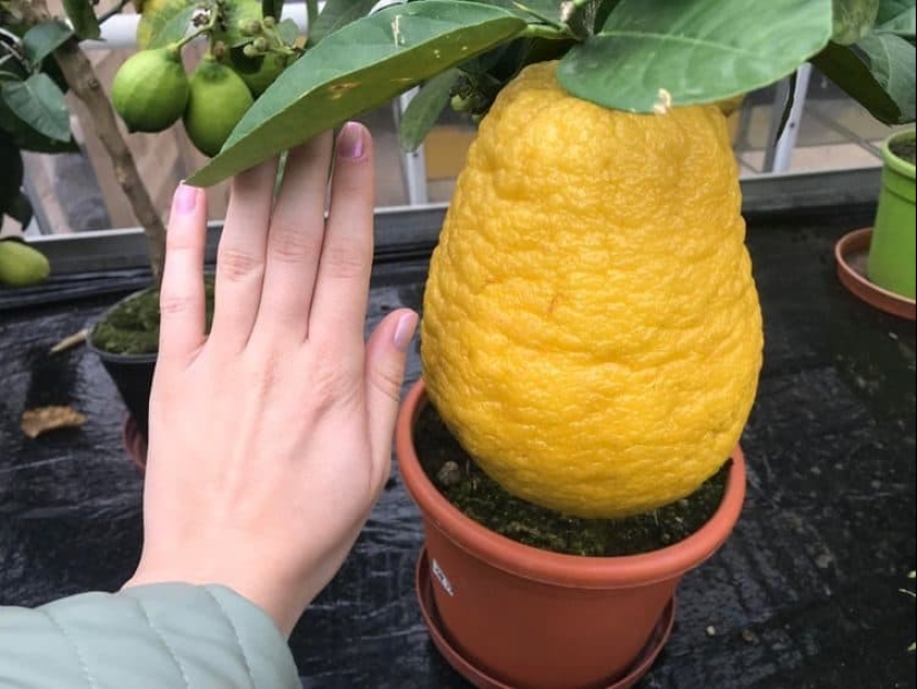 22 irrefutable proofs that size matters 22 irrefutable proofs that size matters