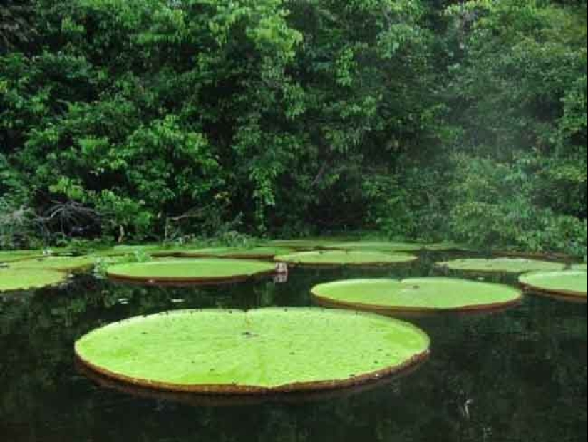 22 irrefutable proofs that size matters 22 irrefutable proofs that size matters