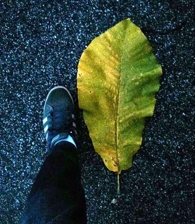 22 irrefutable proofs that size matters 22 irrefutable proofs that size matters