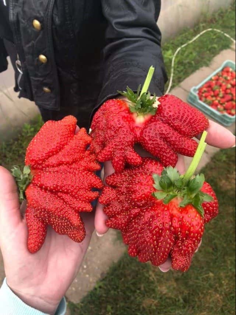 22 irrefutable proofs that size matters 22 irrefutable proofs that size matters