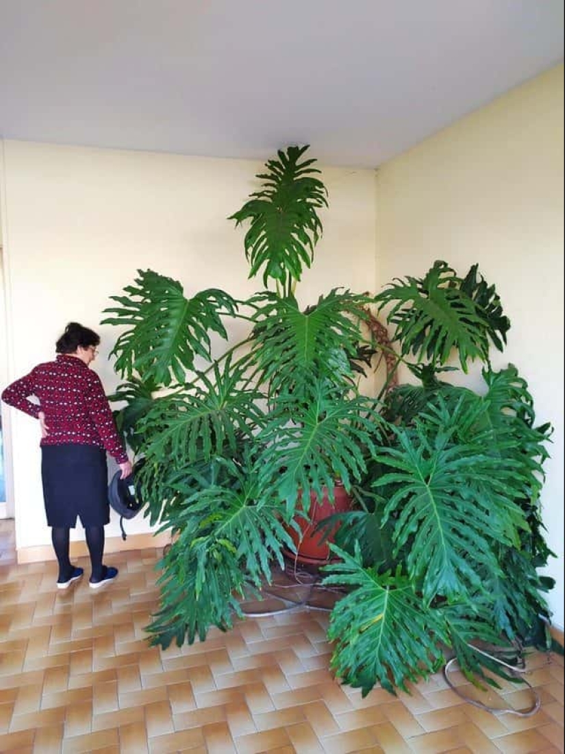 22 irrefutable proofs that size matters 22 irrefutable proofs that size matters