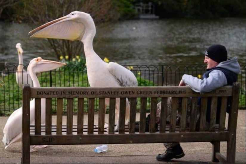 22 irrefutable proofs that size matters 22 irrefutable proofs that size matters