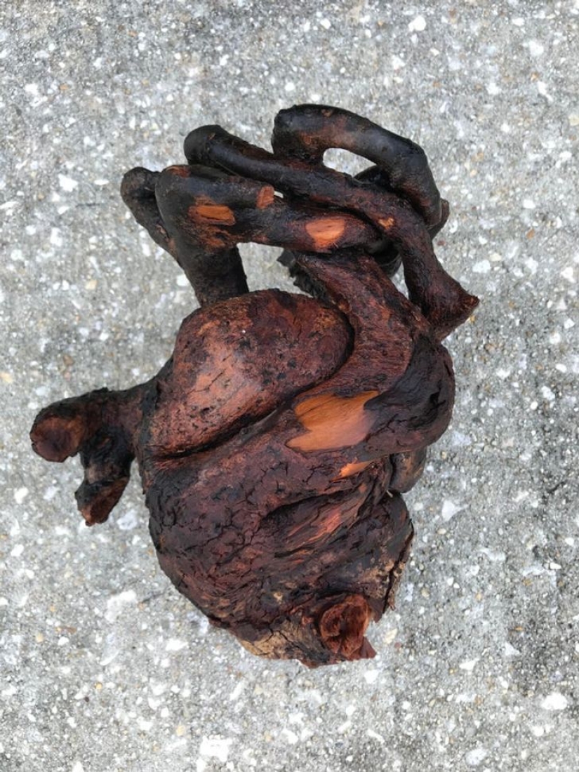 22 lucky people shared their amazing findings 22 lucky people shared their amazing findings