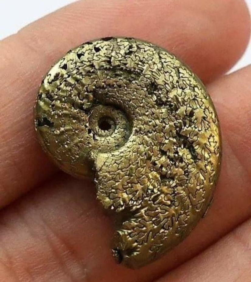 22 lucky people shared their amazing findings 22 lucky people shared their amazing findings