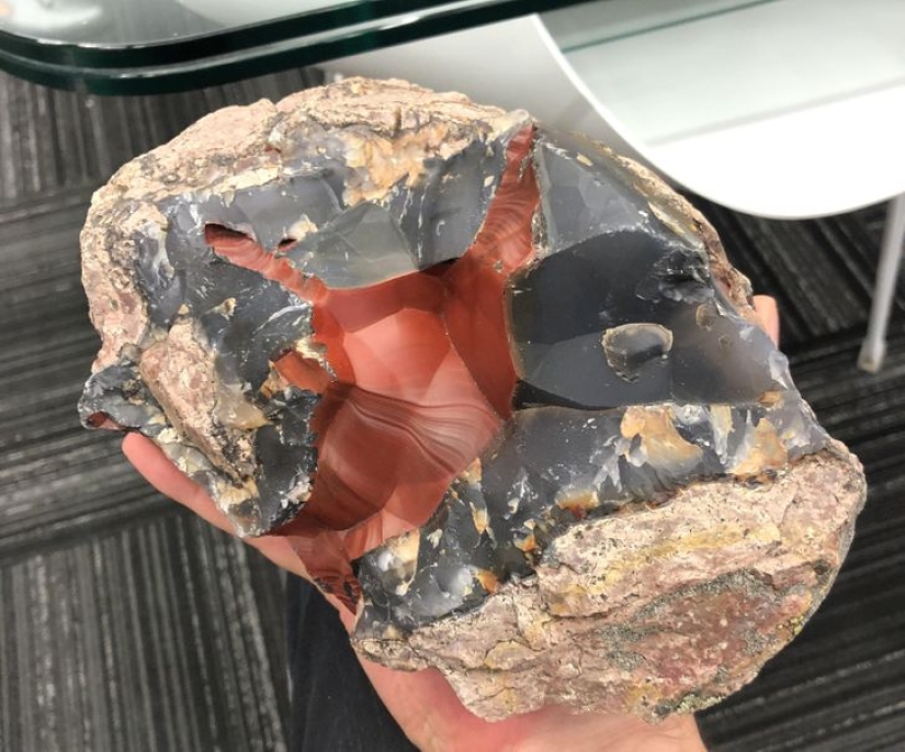 22 lucky people shared their amazing findings 22 lucky people shared their amazing findings