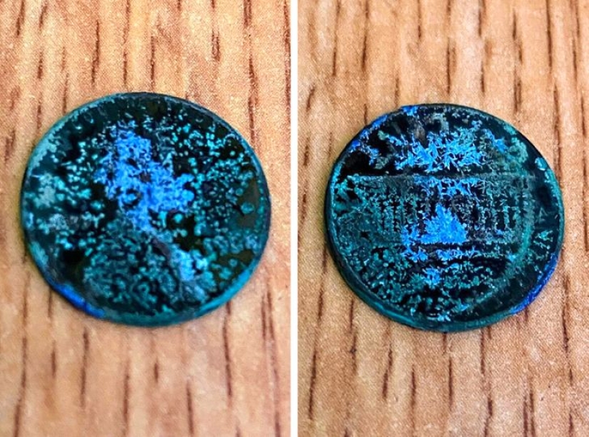 22 lucky people shared their amazing findings 22 lucky people shared their amazing findings