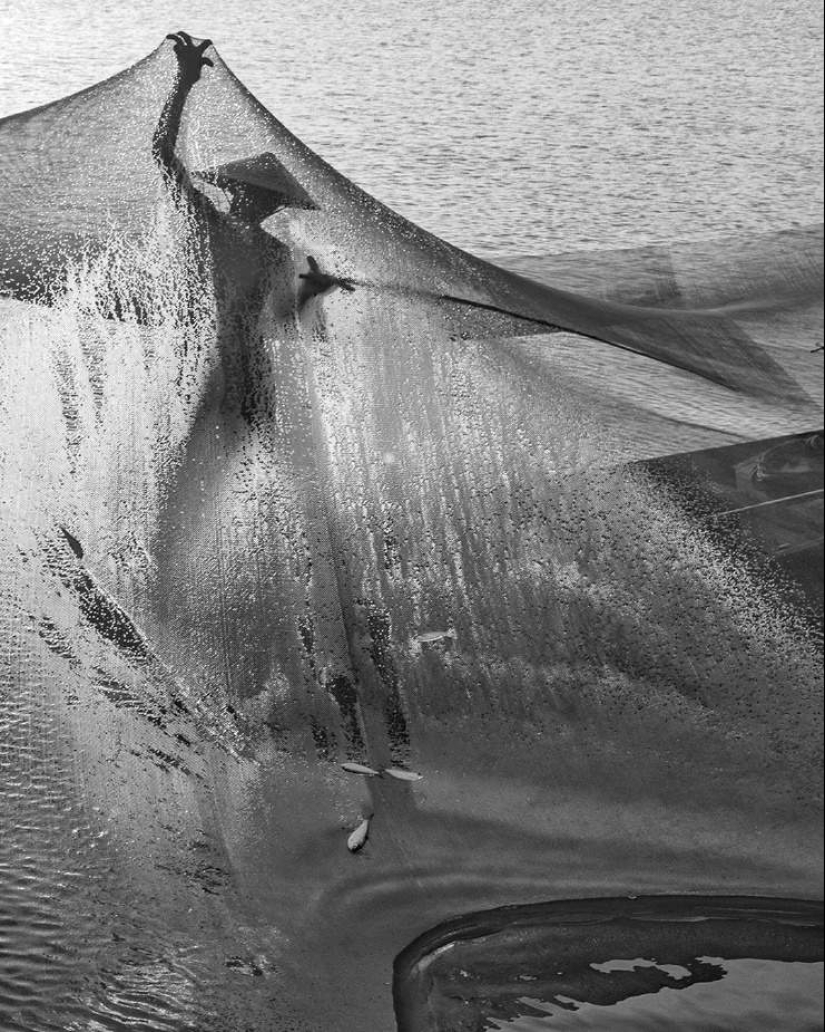 22 maravillosas fotos de Vietnam del talentoso Chan Tuan Viet 22 maravillosas fotos de Vietnam del talentoso Chan Tuan Viet