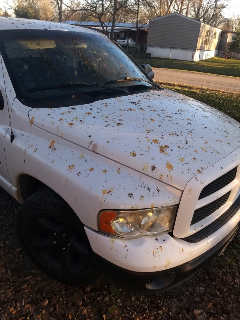 22 molestos problemas que se convirtió el día a alguien en una pesadilla