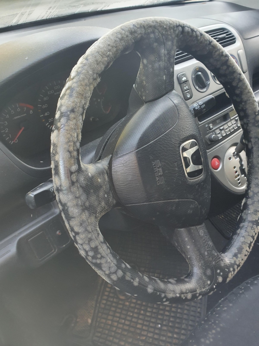 22 molestos problemas que se convirtió el día a alguien en una pesadilla