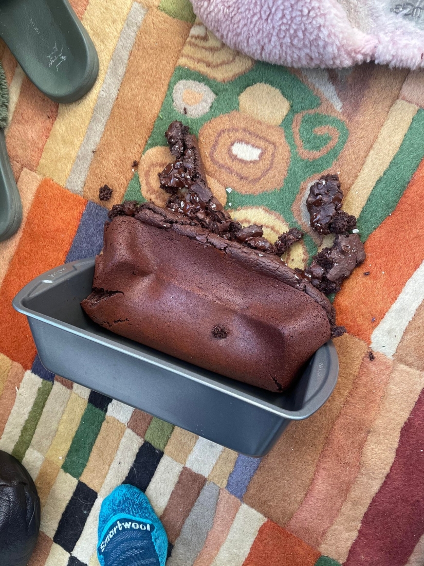 22 molestos problemas que se convirtió el día a alguien en una pesadilla