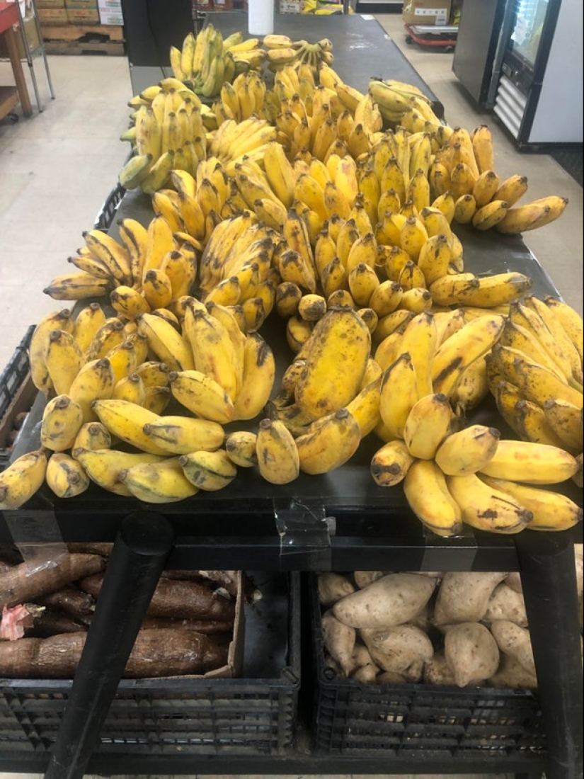 22 most annoying things according to netizens 22 most annoying things according to netizens