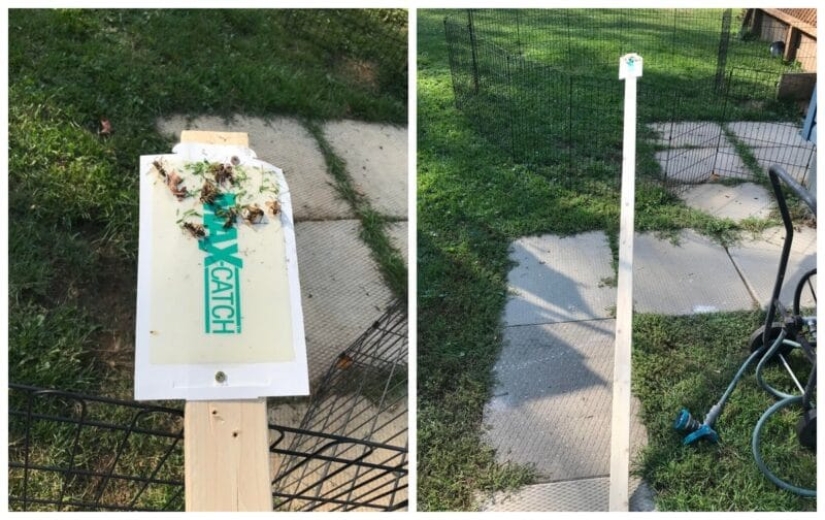 22 most unexpected solutions to everyday problems 22 most unexpected solutions to everyday problems